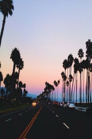 California Dreamin' 🌴✨