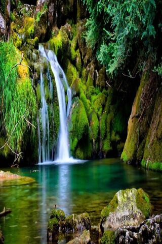 Enchanted Serenity: The..