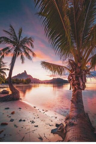 Bora Bora Bliss: A Tropical Paradise 🌴🌅