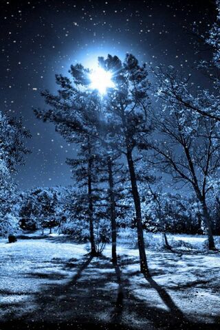 Christmas Slumber