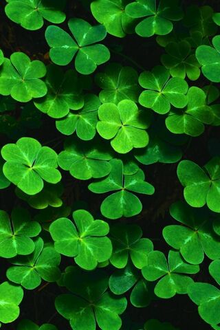 Lucky
