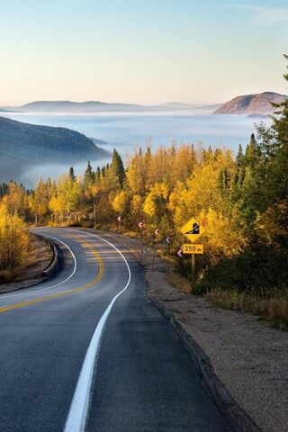 Winding Through Nature'..