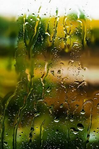 Whispers of Rain 🌧️✨