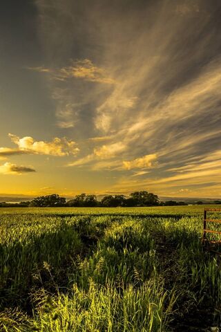 Golden Horizons of Pradera 🌾✨