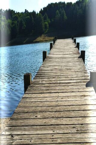 Serenity at the Water's Edge 🌊✨
