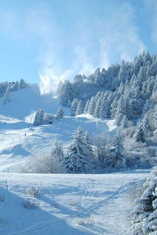 Winter Wonderland: The ..