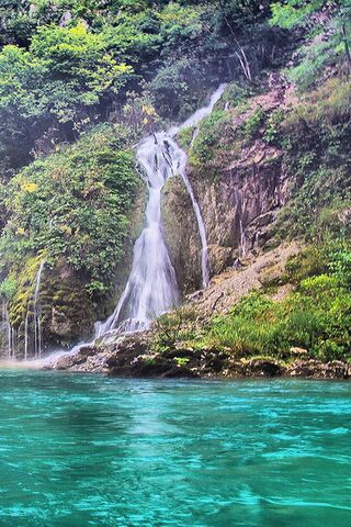 Nature's Cascade: A Ser..