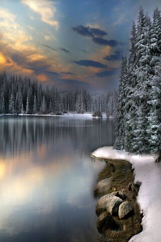 Winter's Serenity: A Fr..