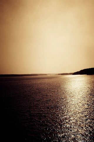Golden Reflections: A S..