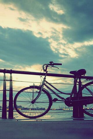 Bicycle and I