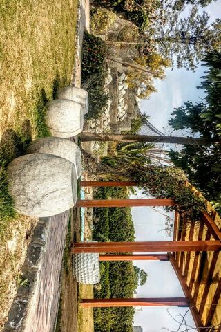 Nature's Embrace: A Flourishing Retreat 🌿✨