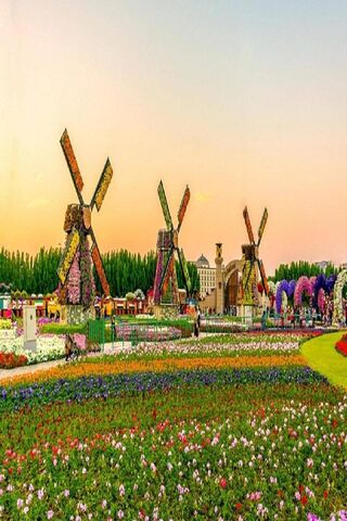 Whispers of Color: A Floral Wonderland 🌸🌼