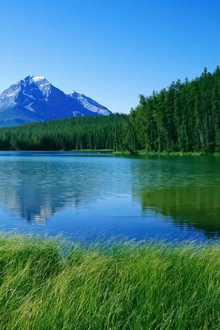 Serenity of Kashmir Valley: Nature's Masterpiece 🌄💚
