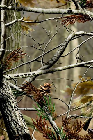 Realtree Camo