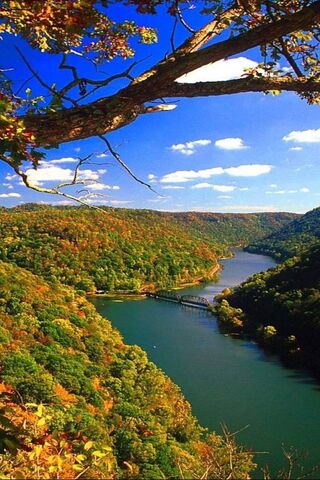 Serenity of the Rivers 🌊🍂