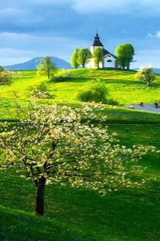 Emerald Serenity: A Glimpse of Nature's Beauty 🌿🏞️