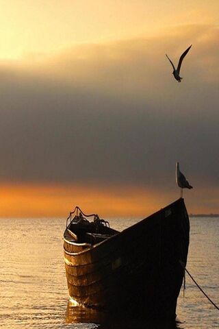 Serene Sunset on the Water