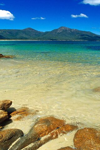 Beach Landscape