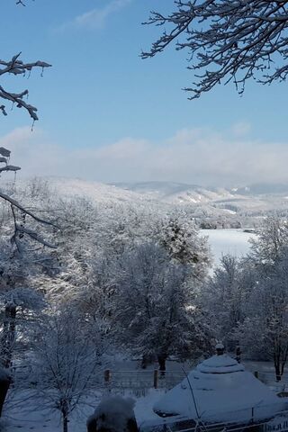 Winter Wonderland: A Serene Snowy Escape ❄️🏞️