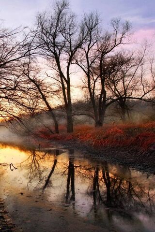 Whispers of a Dreamy Dawn 🌅✨