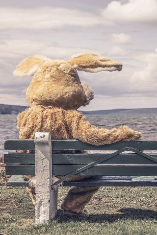 Ozcanates: The Solitary Bunny