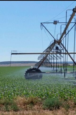 Irrigation in Action: Nurturing the Fields 🌱💧