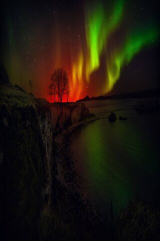 Dancing Lights: The Aurora Borel Night