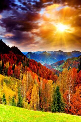 Autumn's Embrace: A Vibrant Landscape