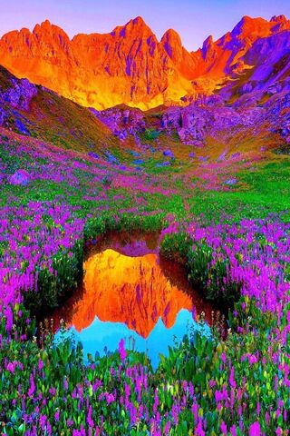 Nature's Vibrant Palette 🌸🏞️