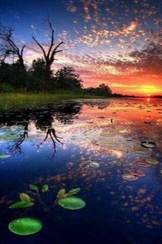 Nature's Canvas: A Symphony of Colors 🌅🎨