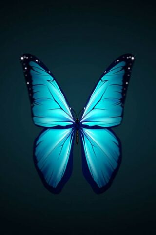 Neon Butterfly Hd Wallpapers For Mobile