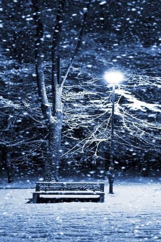 Whispers of Winter ❄️🌙