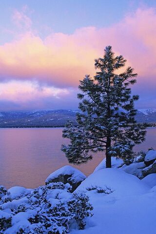 Winter Serenity: A Tranquil Snowy Escape