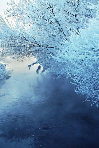 Whispers of Winter ❄️🌬️