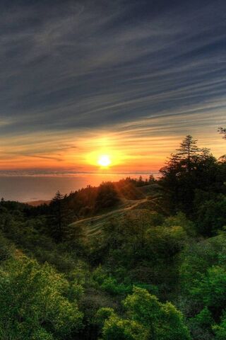 Golden Horizon: Embracing the Sunbeam 🌅✨