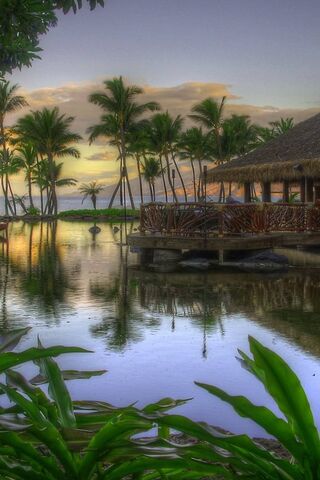 Serenity by the Shore 🌴🌅