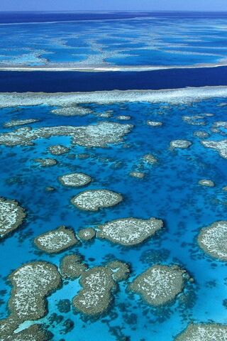Nature's Underwater Wonderland: The Great Barrier Reef 🌊🐠