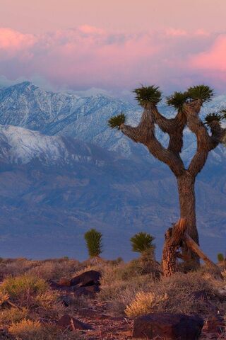 Whispers of the Desert: A Serene Sunset in Death Valley 🌄