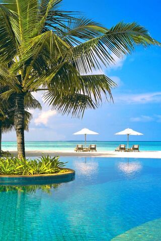 Paradise Awaits: A Tropical Oasis 🌴💦