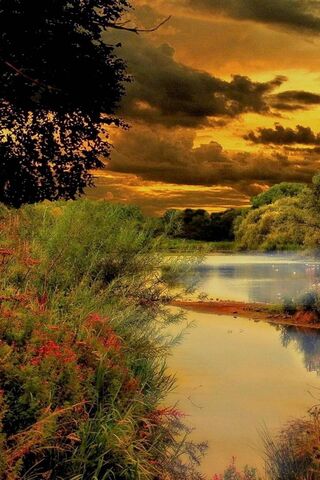 Serenity at Dusk 🌅