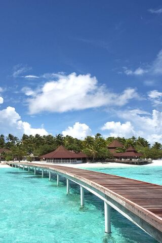 Paradise Awaits: The Maldives Experience 🌴✨