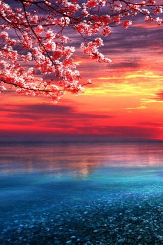 Serenity at Dusk 🌅