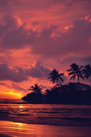 Tropical Twilight Bliss 🌅🌴