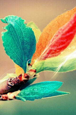 Vibrant Nature's Palett..