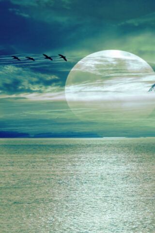 Mystical Moonlit Sereni..