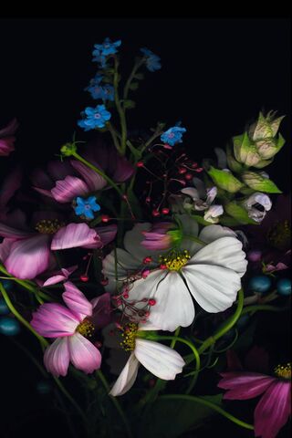 Whispers of Nature: A Floral Symphony 🌸✨