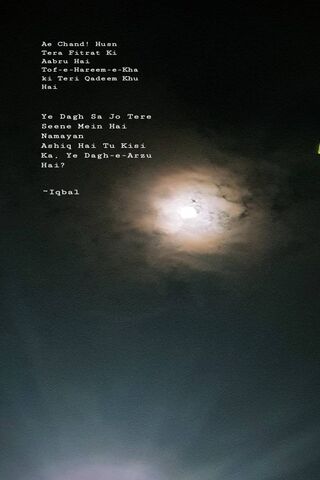 Moonlit Whispers: A Night of Reflection 🌙✨