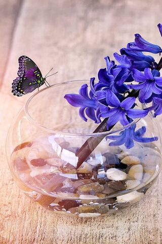 Whispers of Spring: The Hyacinth Harmony 🌸🦋