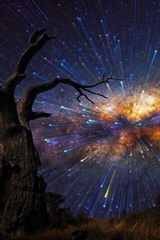 Cosmic Whispers: A Jour..
