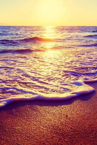 Sunset Serenity at the ..